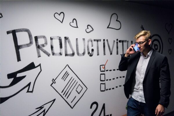 Productive Netprenuer