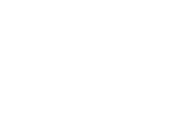 akonlogo